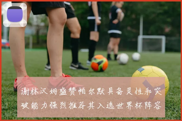 谢林汉姆盛赞帕尔默具备灵性和突破能力强烈推荐其入选世界杯阵容